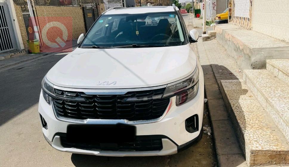 کیا سێلتۆس